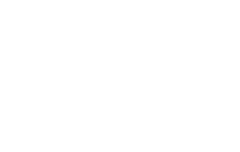 kardea logo weiss png