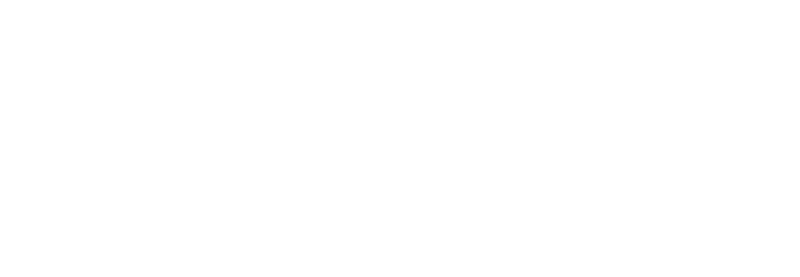 ngo academy logo white rgb rz