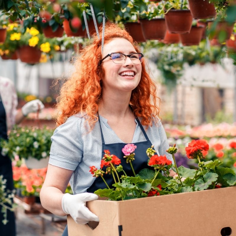 two female florists working with flowers in a greenhouse preparing orders.